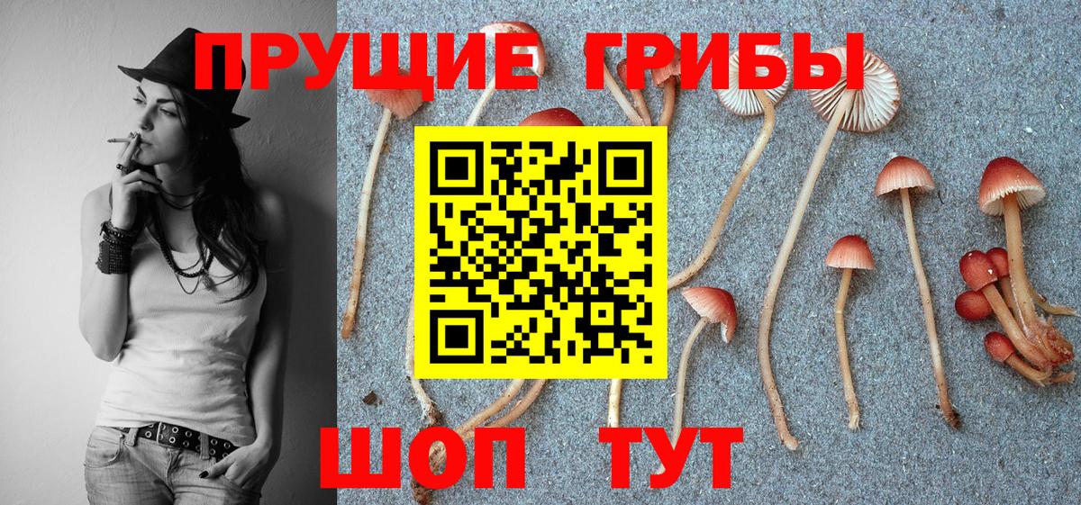 Алейск  Галлюциногенные грибы MAGIC MUSHROOMS  Вход с VPN 